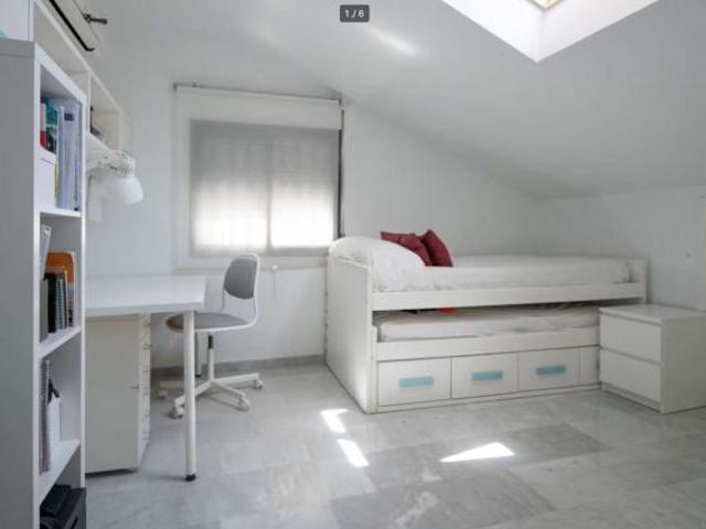 4 Dormitorio Shared Living/Roommate Murcia Murcia 87241487