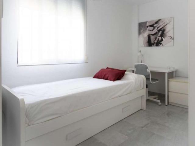 4 Dormitorio Shared Living/Roommate Murcia Murcia 87241489