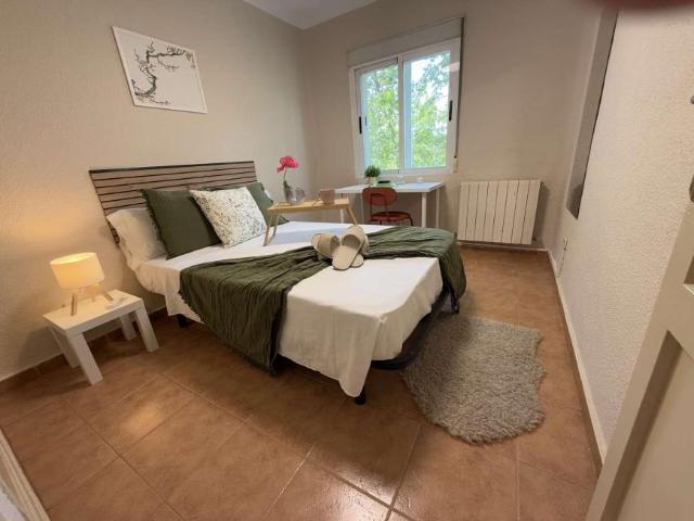4 Dormitorio Shared Living/Roommate Madrid Madrid 101794299