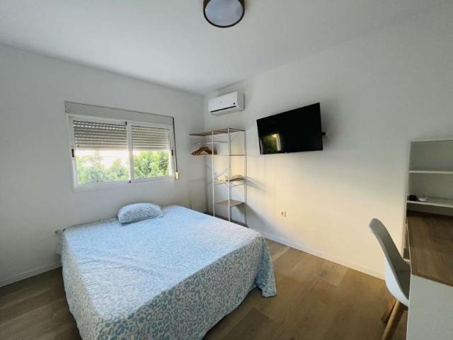 4 Dormitorio Shared Living/Roommate Malaga Malaga 100946157