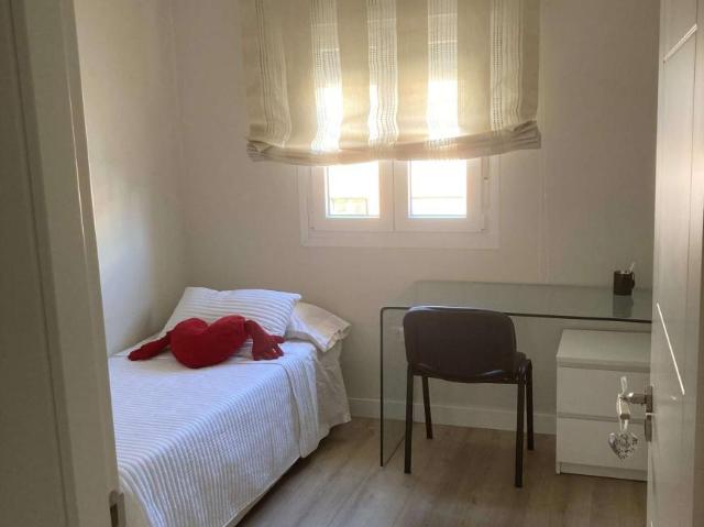 4 Dormitorio Shared Living/Roommate Malaga Malaga 101765064