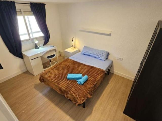 4 Dormitorio Shared Living/Roommate Alicante Alicante 100306586