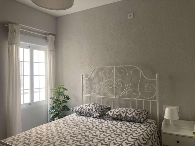 4 Dormitorio Shared Living/Roommate Alicante Alicante 101770901