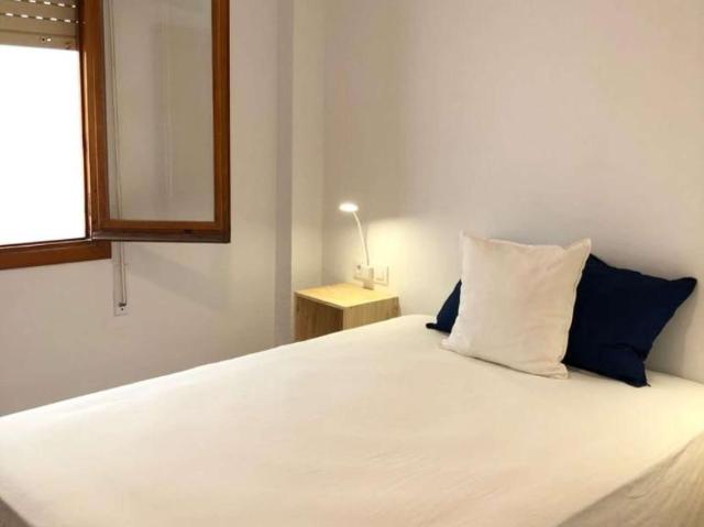 4 Dormitorio Shared Living/Roommate Alicante Alicante 101815806