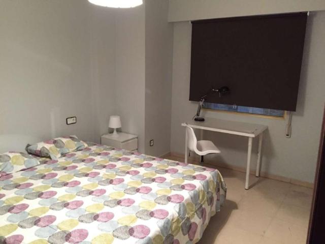 4 Dormitorio Shared Living/Roommate Alicante Alicante 101819665