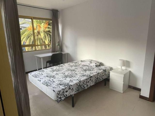 4 Dormitorio Shared Living/Roommate Alicante Alicante 101824230
