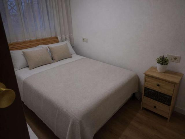 4 Dormitorio Shared Living/Roommate Alicante Alicante 103121233
