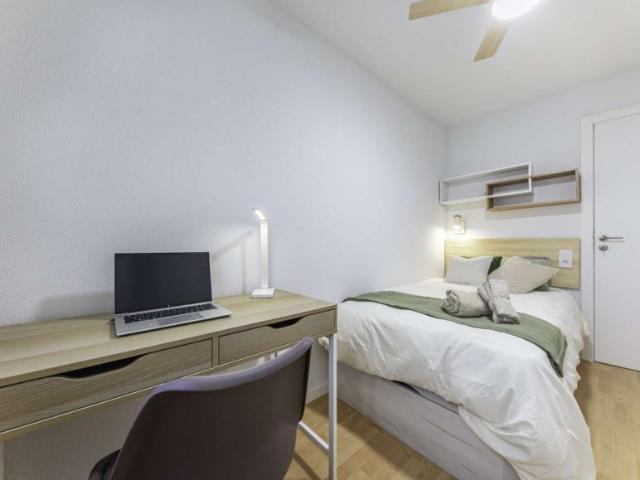 4 Dormitorio Shared Living/Roommate Alicante Alicante 96385304