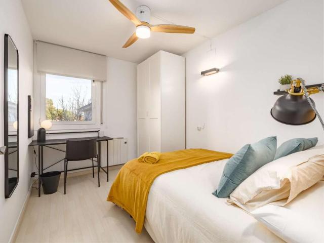 4 Dormitorio Shared Living/Roommate Barcelona Barcelona 101992798