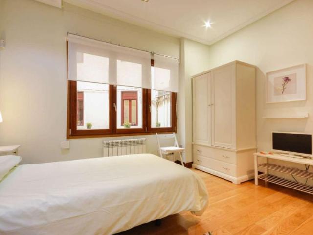 4 Dormitorio Shared Living/Roommate Bilbao Bilbao 101765525