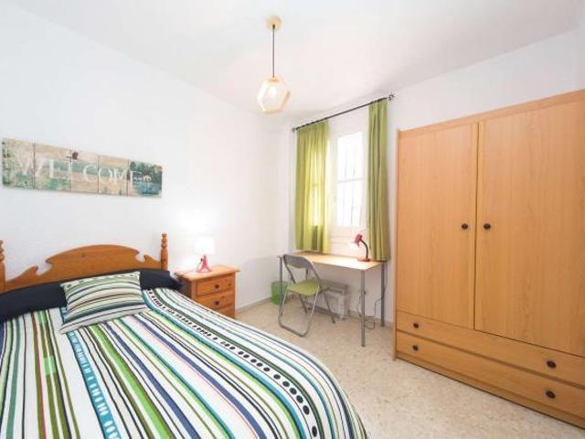 4 Dormitorio Shared Living/Roommate Granada Granada 86708717