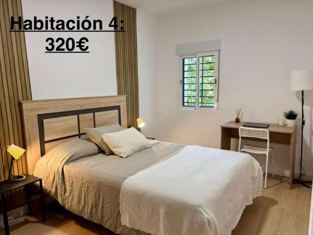 4 Dormitorio Shared Living/Roommate Granada Granada 97777026