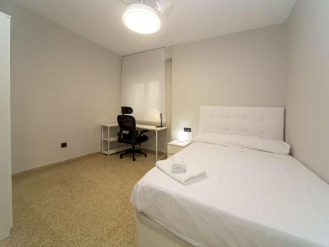 4 Dormitorio Shared Living/Roommate Granada Granada 104144531