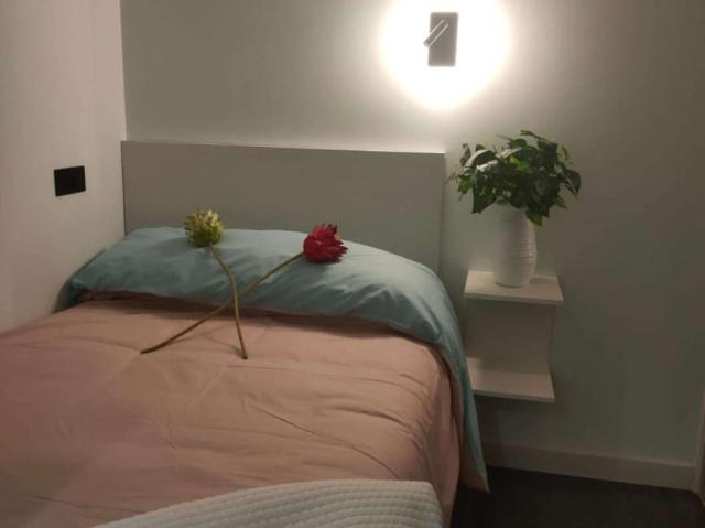 4 Dormitorio Shared Living/Roommate Salamanca Salamanca LS101844667