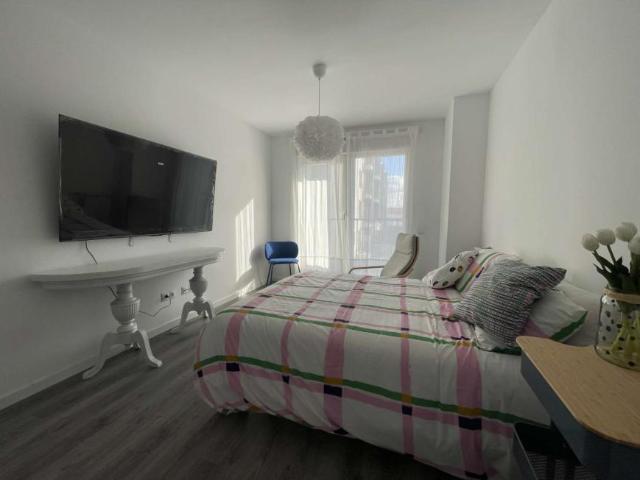 4 Dormitorio Shared Living/Roommate Santander Santander 97679092