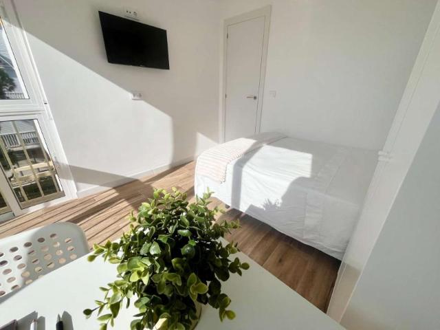 4 Dormitorio Shared Living/Roommate Seville Seville 102720055