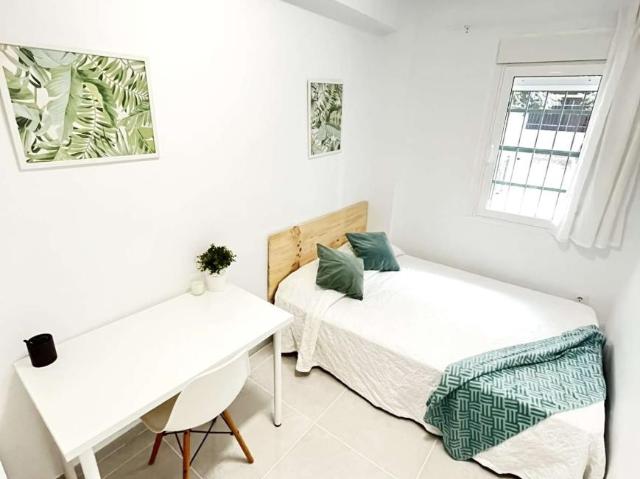 4 Dormitorio Shared Living/Roommate Seville Seville 103181748