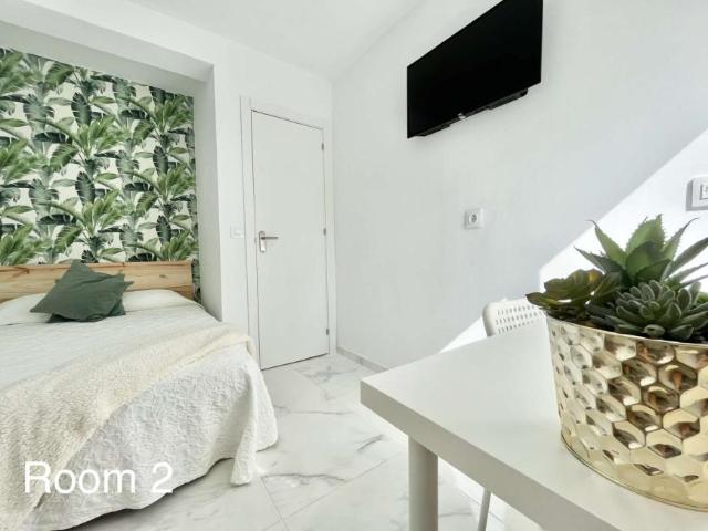 4 Dormitorio Shared Living/Roommate Seville Seville 103217887