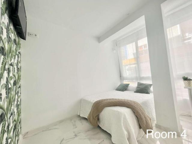 4 Dormitorio Shared Living/Roommate Seville Seville 103217924