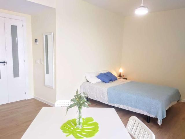 4 Dormitorio Shared Living/Roommate Valencia Valencia LS101813290