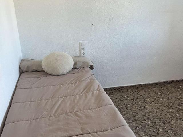 4 Dormitorio Shared Living/Roommate Valencia Valencia 101761837