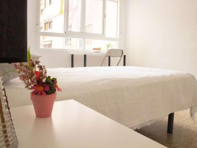 4 Dormitorio Shared Living/Roommate Valencia Valencia 101806035