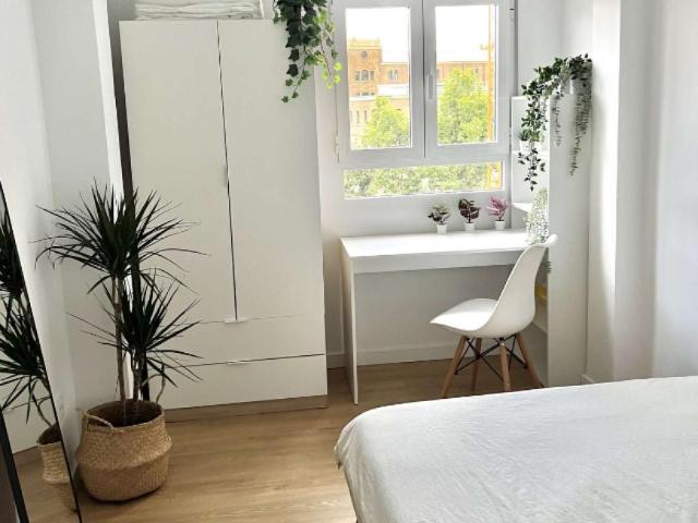 4 Dormitorio Shared Living/Roommate Valencia Valencia 102471128