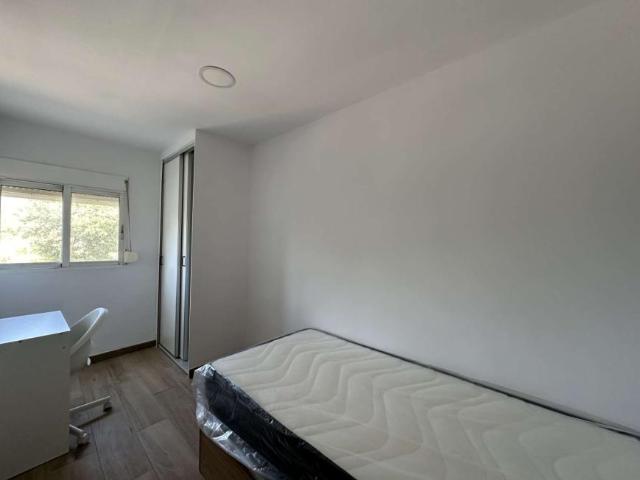 4 Dormitorio Shared Living/Roommate Valencia Valencia 93155035