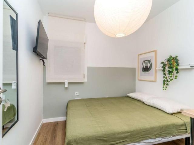 4 Dormitorio Shared Living/Roommate Valladolid Valladolid 104845843