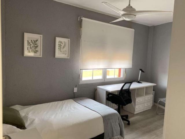 4 Dormitorio Shared Living/Roommate Zaragoza Zaragoza 101816264