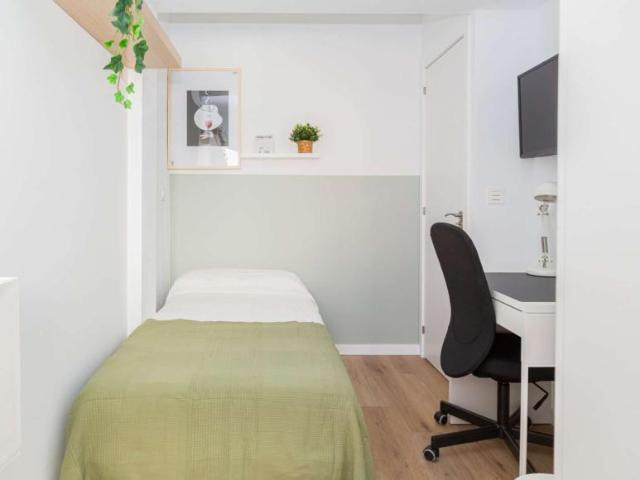 4 Dormitorio Shared Living/Roommate Zaragoza Zaragoza 104845700
