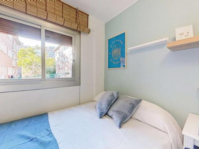 4 Dormitorio Shared Living/Roommate Zaragoza Zaragoza 104845862