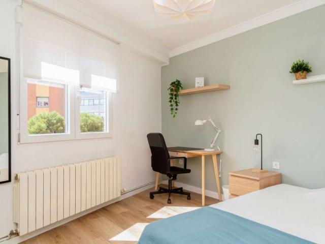 4 Dormitorio Shared Living/Roommate Zaragoza Zaragoza 104845806
