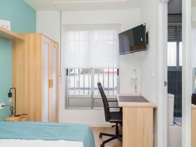 4 Dormitorio Shared Living/Roommate Zaragoza Zaragoza 104846034