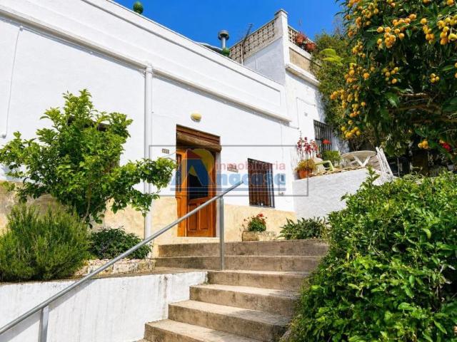 4 Dormitorio Villa Oliva Valencia 103215975