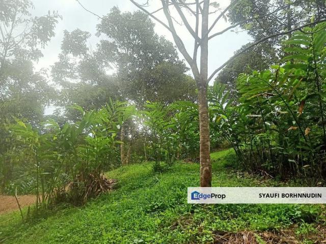 [4 EKAR] Tanah Kebun Pertanian Blok 80 @ Hulu Langat, Selangor