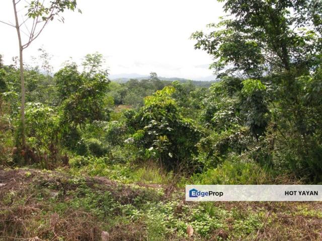 4 Ekar Tanah Pertanian, Rasa, Hulu Selangor