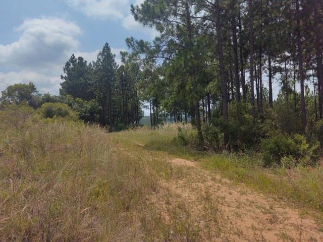 4 ha Land available in Nelspruit Mbombela Outlying