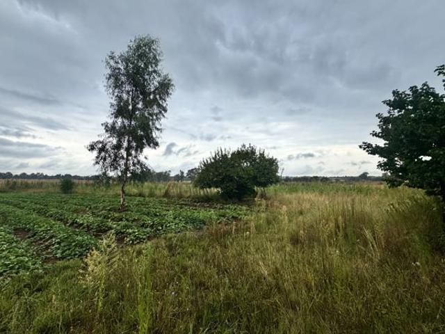 4 ha Land available in De Deur