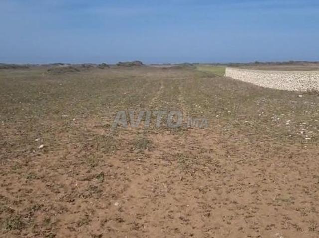 4 hectares à vendre face à la mer
