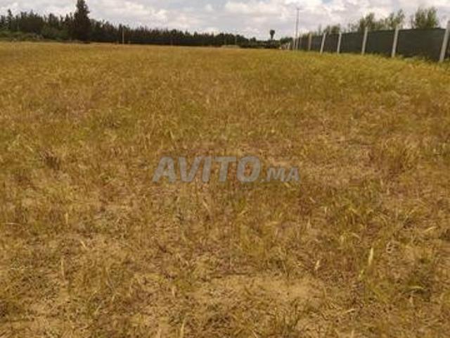 4 hectares D4 autorisés a vendre