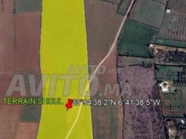 4 hectares de terrain à Shoul entierement clôturé