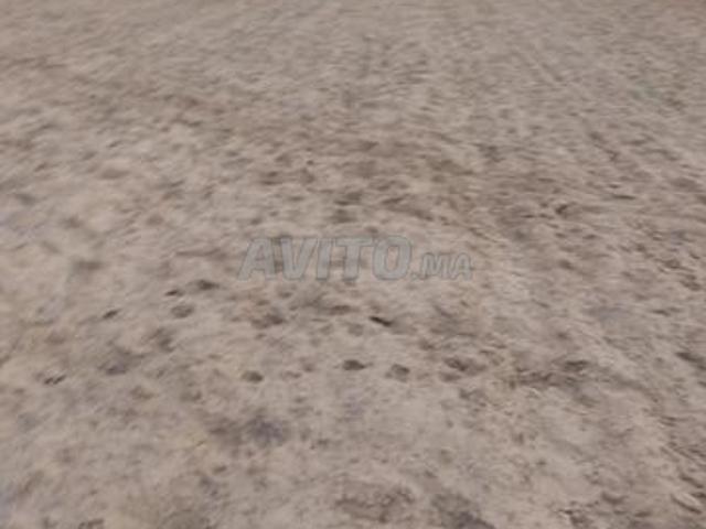 4 hectares de terre agricole à 7 km de Tiflet