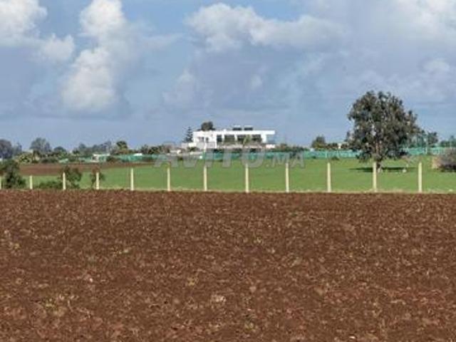 4 Hectares titre foncier a vendre