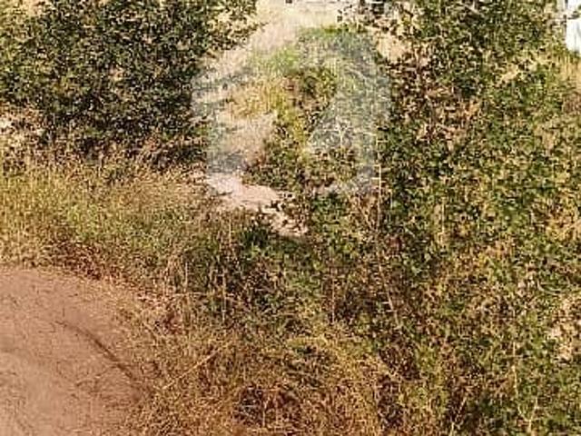 4 Kanal Land For Sale In Bani Gala Near Imran Kahan House