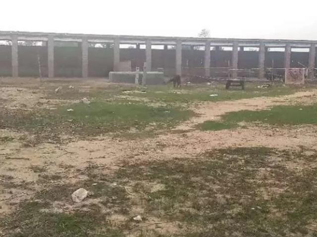 4 Kanal plat cattle farm fully maintain Kasur ID 35501