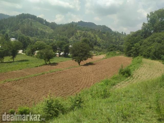 4 kanal 7.5 marla plot zameen land beachna ha in Pakistan | Clasf real estate