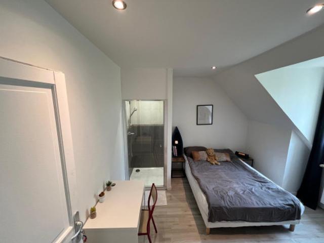 4 logements en location disponible immédiatement