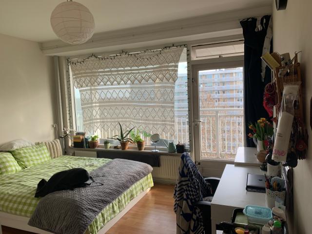 4 people co living looking for new housemate