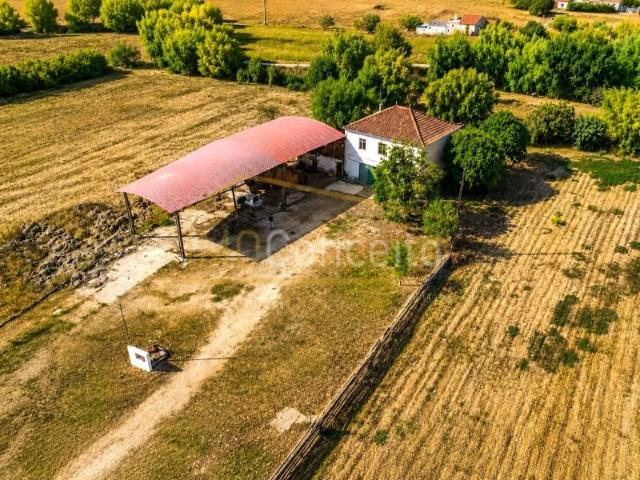 4 quarto, Torres Novas Torres Novas 101309821